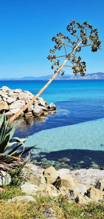 T2 D'Exception 100M Plage Terrasse Vue Mer Et Montagnes Propriano  Εξωτερικό φωτογραφία